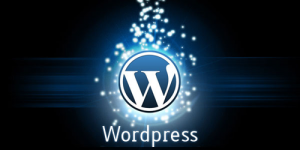 WordPress是否必要升级到最新版本？升级WP版本注意事项-牛魔博客
