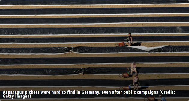 新冠疫情 “洗牌”我们食物供应链，怎么做到的-牛魔博客