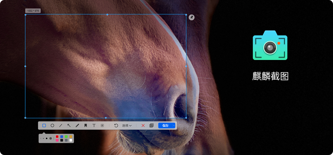 优麒麟20.10版本发布–简而美，华而实-牛魔博客