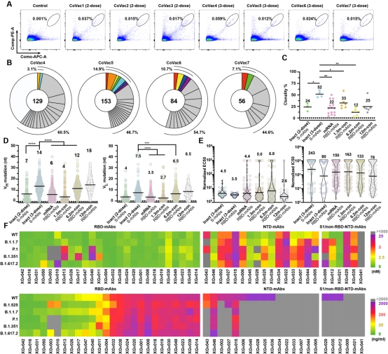 科兴新冠灭活疫苗加强第三针：良好抵御变异毒株-牛魔博客