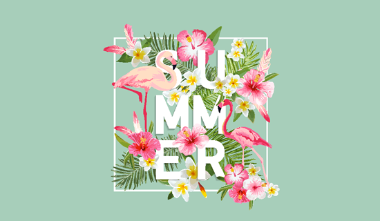 如何选择WordPress图像压缩插件-牛魔博客