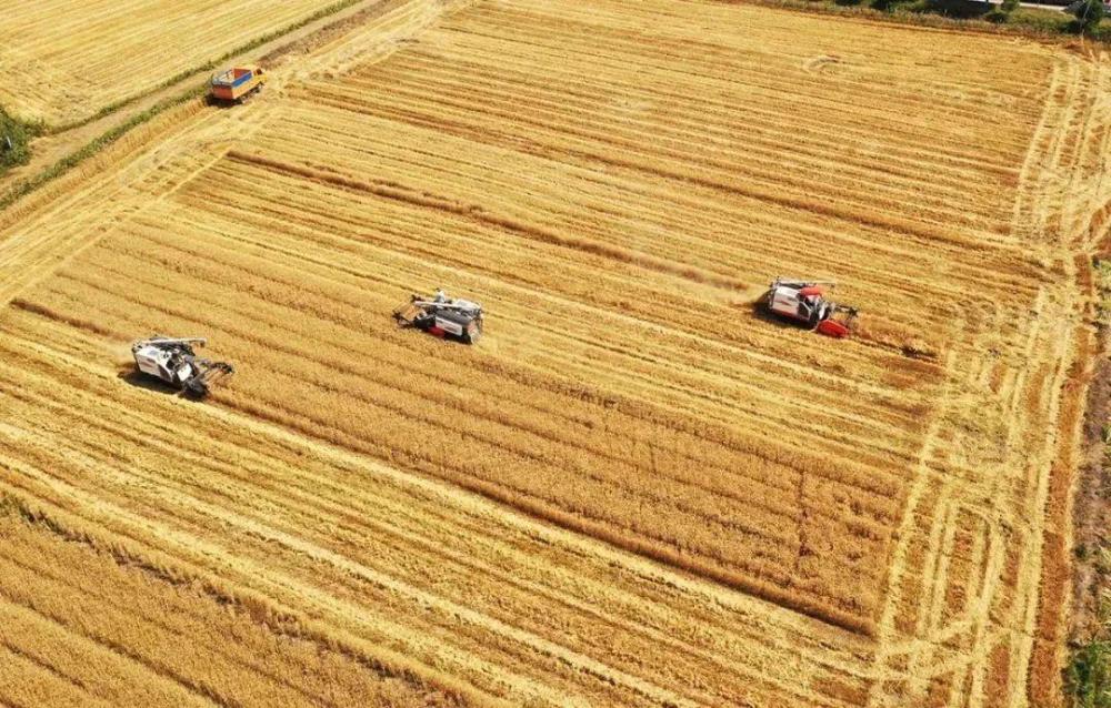 我们生活中有多少航天科技？一起猜猜看-牛魔博客