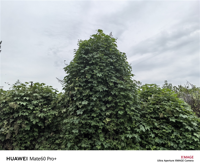 三年等待 造就国产最强超大杯！华为自主旗舰Mate 60 Pro+全面评测-牛魔博客