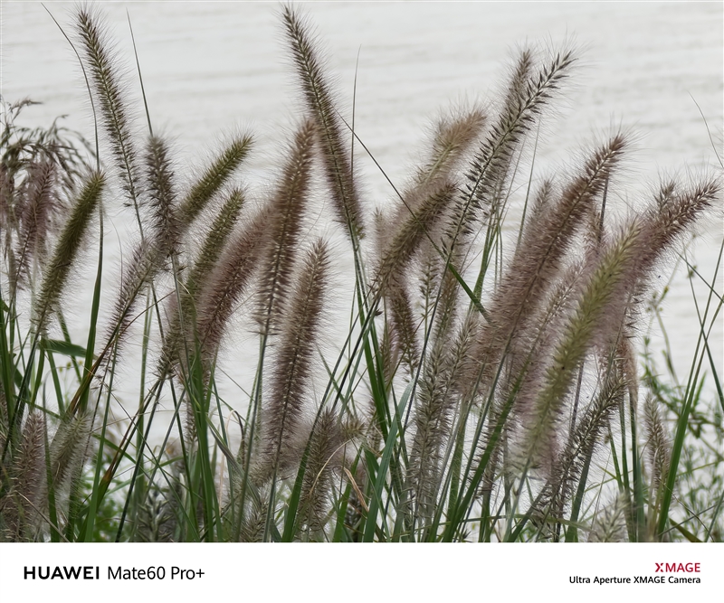 三年等待 造就国产最强超大杯！华为自主旗舰Mate 60 Pro+全面评测-牛魔博客